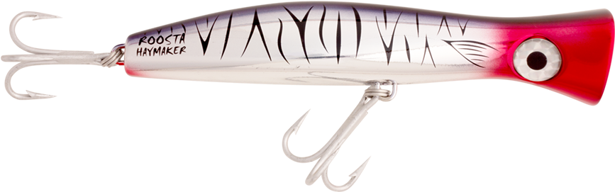 Pink Fluoro R1 Red Tiger R18 - Animal (1000x500), Png Download