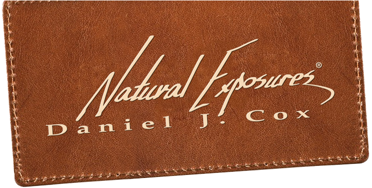 Label (780x401), Png Download