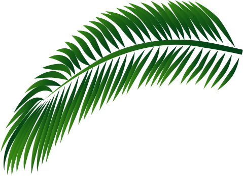 Decorative Leaf - Leaf (479x346), Png Download