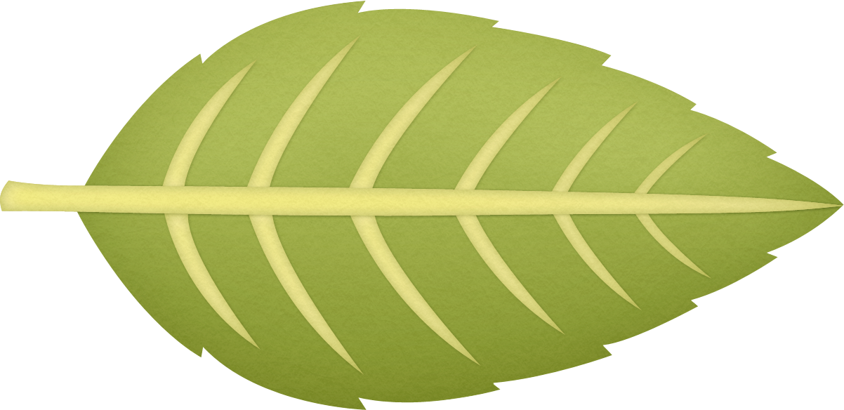 3d Patternpatternstree - Circle (1202x584), Png Download