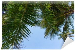 Palm Trees (400x400), Png Download