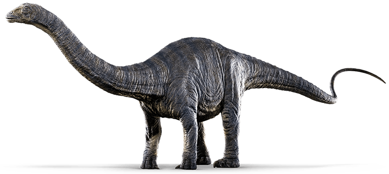 Jurassic Park Transparent Png - Apatosaurus Jurassic World (800x359), Png Download