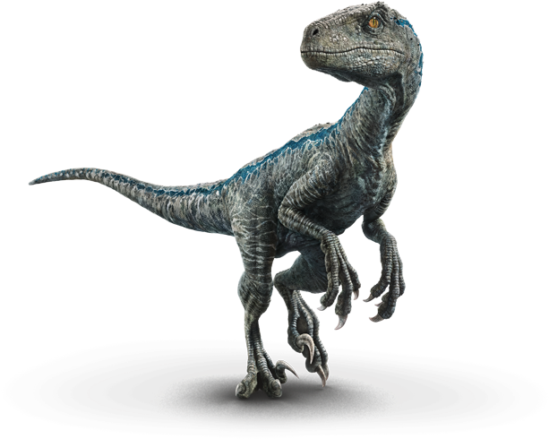 Blue - Blue Jurassic World Hearts (640x1204), Png Download
