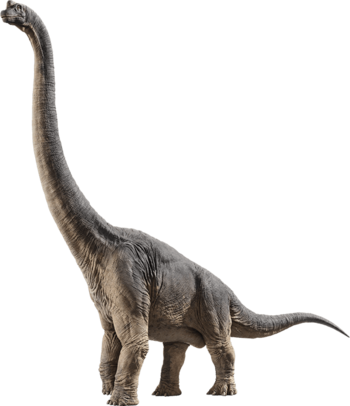Brachiosaurus - Jurassic World Fallen Kingdom Stegosaurus (350x406), Png Download