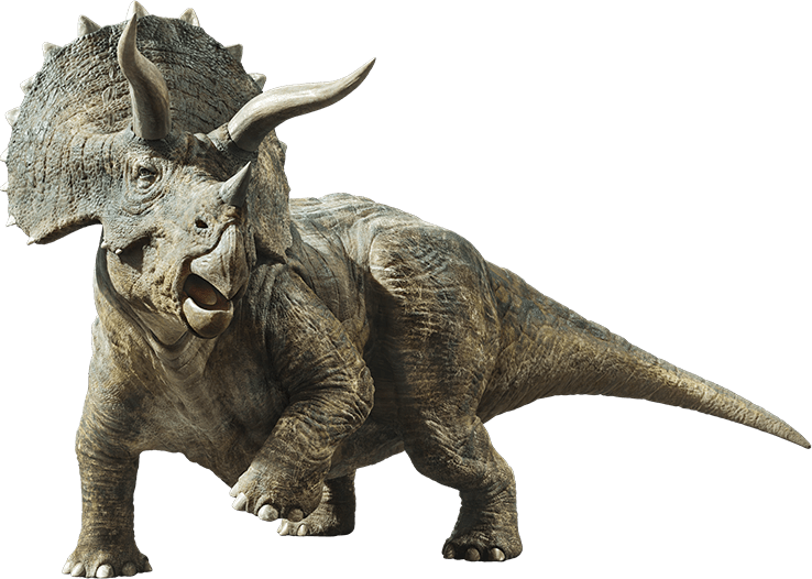 Jurassic World Fallen Kingdom Triceratops By Sonichedgehog2-dc9dwcu - Triceratops Jurassic World Fallen Kingdom (738x526), Png Download