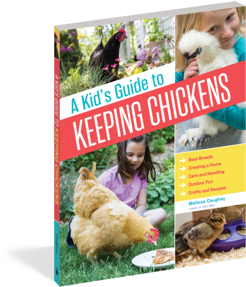 A Kid's Guide To Keeping Chickens - Kid's Guide To Keeping Chickens: Best Breeds, Creating (525x600), Png Download