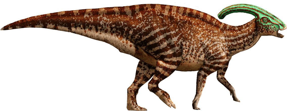 Parasaurolophus - Parasaurolophus Dinosaur (1157x540), Png Download