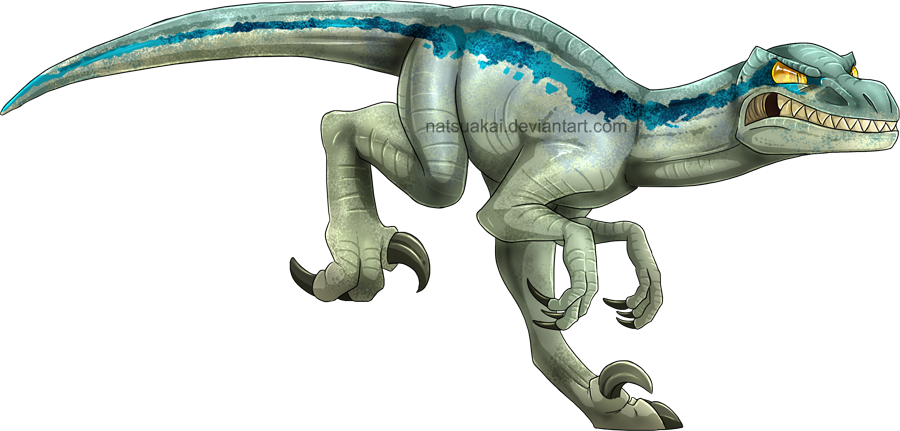 Com Velociraptor Echo Delta Dinosaur Velociraptor Tyrannosaurus - Jurassic World Blue Cartoon (900x431), Png Download