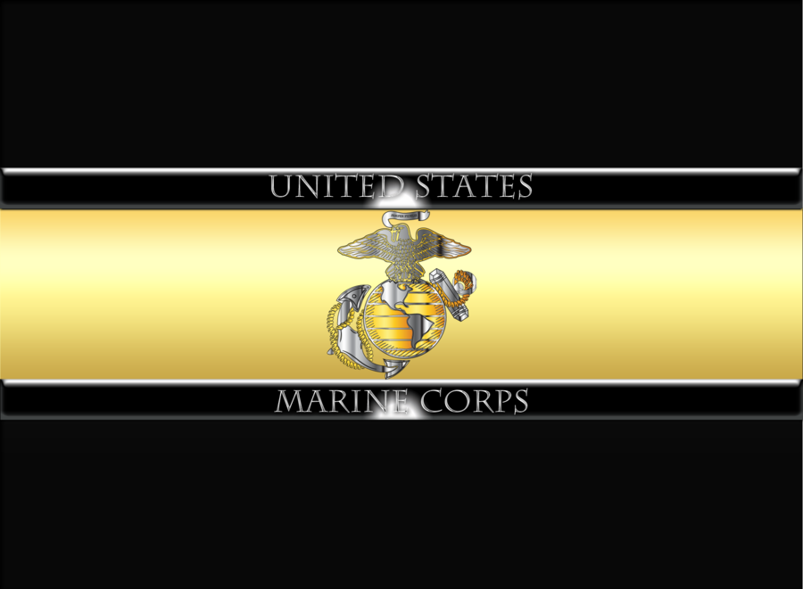 Download Usmc Custom License Plate Us Marines Corps - United States Marine Corps (900x661), Png Download