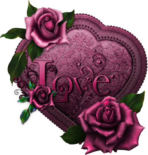 Coeur,tube,png - Garden Roses (500x523), Png Download