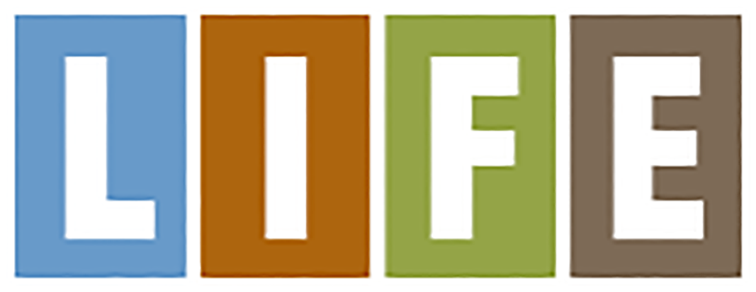 Life - Portable Network Graphics (1906x495), Png Download