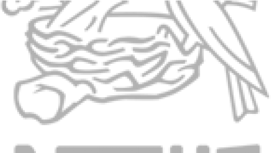 Nestle - Nestle Professional Nestle White Chocolate Chips 25 (736x301), Png Download