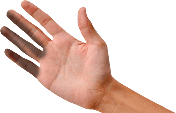 Mission Tampa Helping Hand Up - Palma De La Mano Abierta (566x364), Png Download