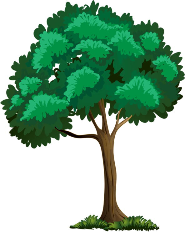 Tall Clipart Apple Tree - Trees And Flowers Clipart (600x762), Png Download