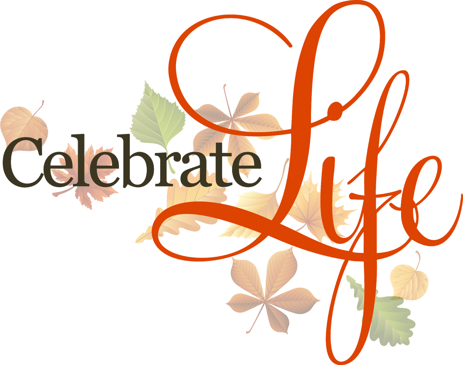 Download Celebrate Life Transparent Celebration Of Life Png PNG Image