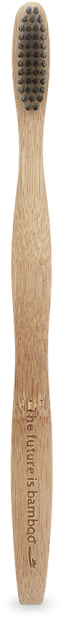 The Future Is Bamboo - Brush (750x750), Png Download
