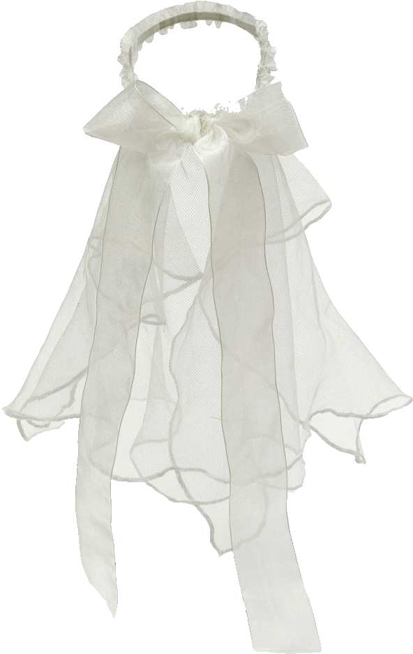 Bridal Veil - Parkdale Novelty Co. Ltd. (1000x1000), Png Download