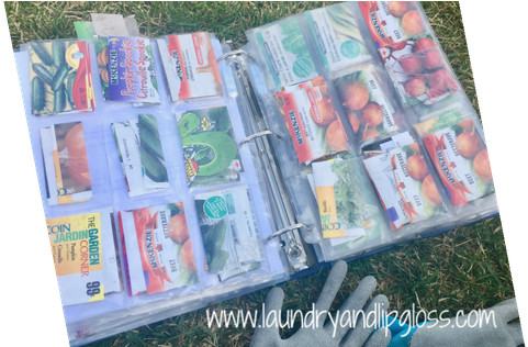 Garden Planning For Backyard Veggie Garden - Back Garden (560x315), Png Download