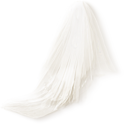 Свадебная Фата Png (480x480), Png Download