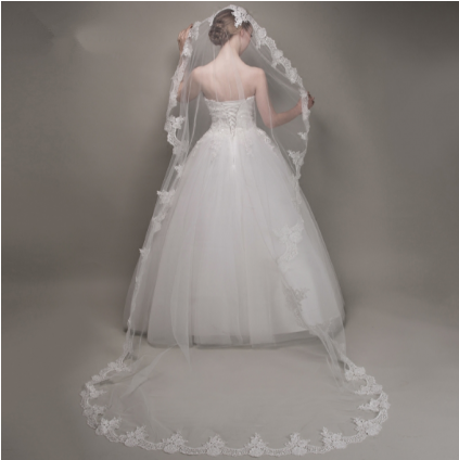 Classic Embroidery Lace Soft Tulle Cathedral Length - Veil (422x571), Png Download