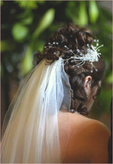 Wedding (369x536), Png Download