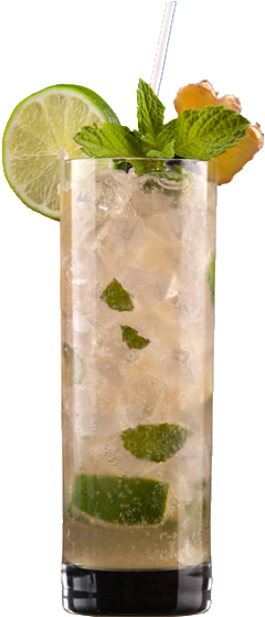 Party Size - Ginger Lime Juice Png (318x558), Png Download