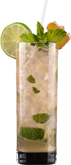 Download Party Size Ginger Lime Juice Png Png Image With No Background Pngkey Com