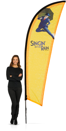 Product Large Finn - Pop Up Banner Flag (468x468), Png Download