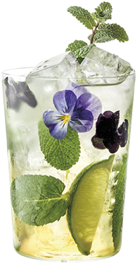 Blue Hawaii (450x480), Png Download