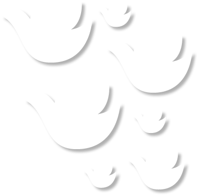 Houston Dream Doves (408x411), Png Download