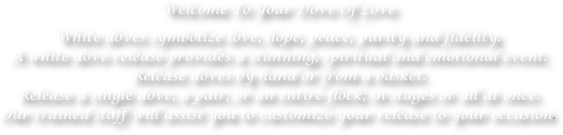 Welcome To Your Dove Of Love White Doves Symbolize - Pigeons And Doves (812x195), Png Download