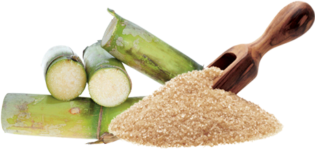 Banner Transparent Stock Donald Trump And The U - Acido Glicolico De Donde Se Extrae (593x241), Png Download