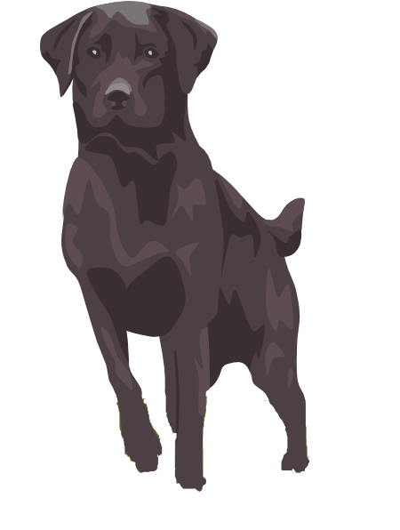 Small - Black Lab Clip Art (456x595), Png Download