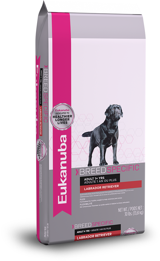 Eukanuba Labrador Retriever Nutrition Dog Food - Eukanuba Boxer Nutrition Dog Food 30 Lb (946x1128), Png Download