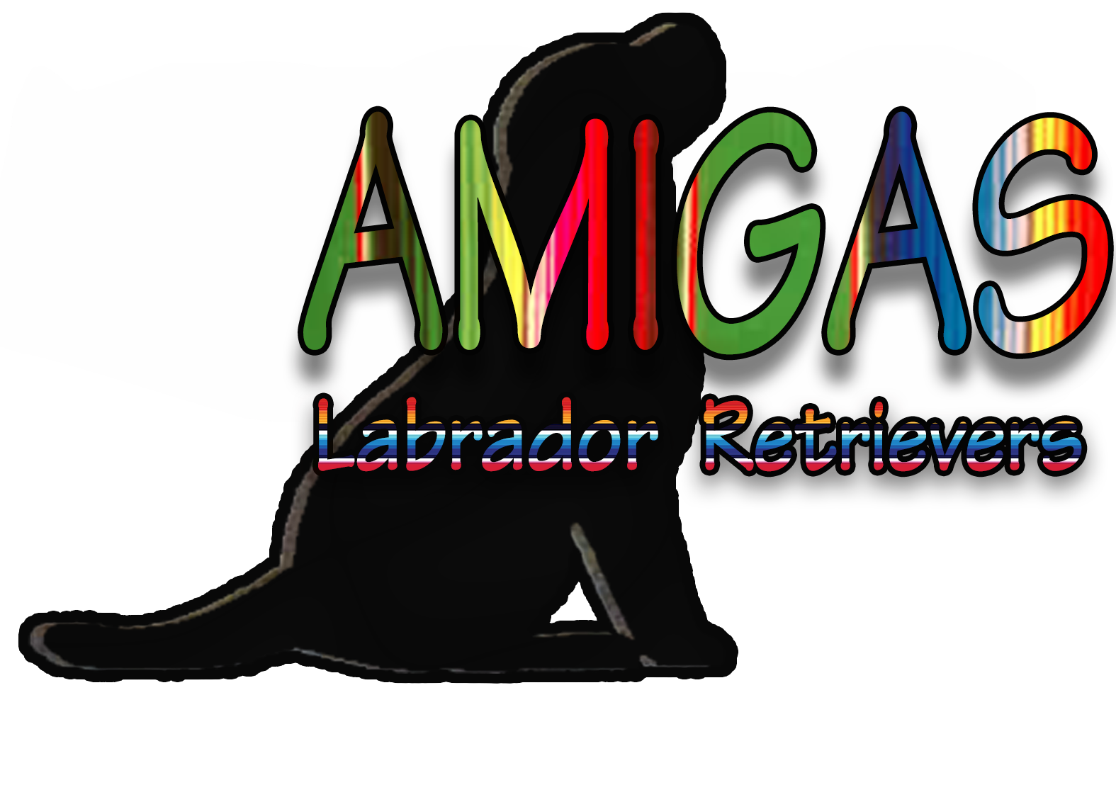 Placeholder Picture - Labrador Retriever (1575x1125), Png Download