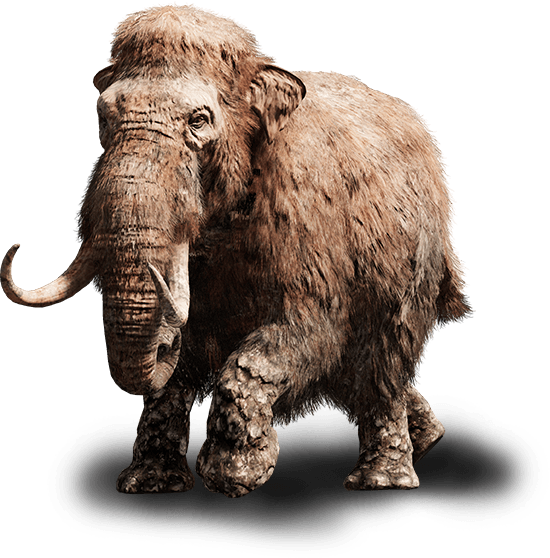 Far Cry Primal Baby Mammoth (550x558), Png Download