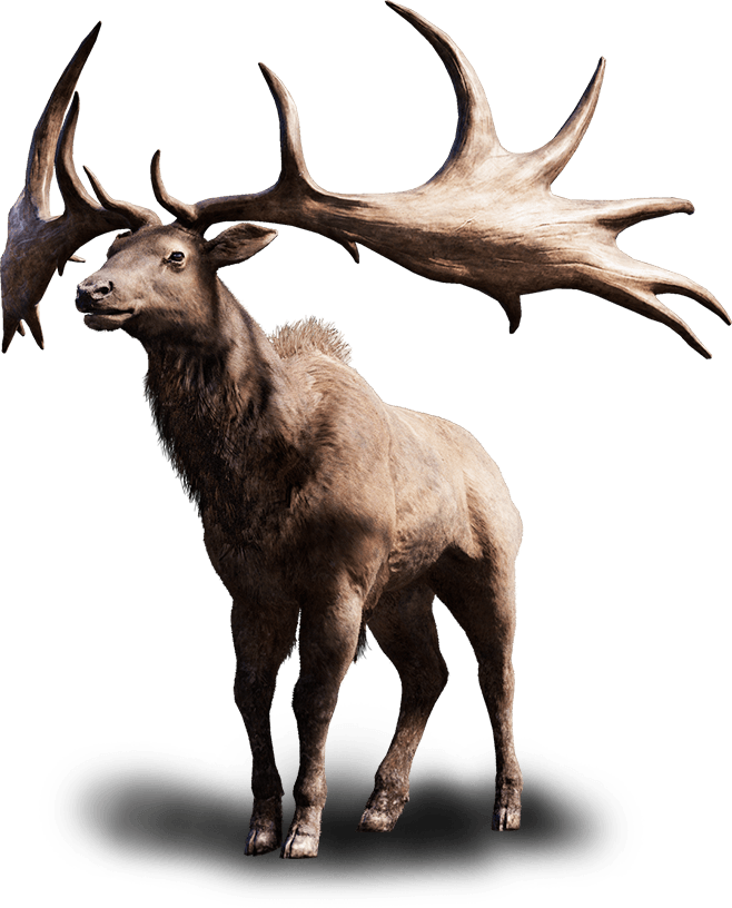 Tall Elk - Far Cry Primal Megaloceros (658x816), Png Download