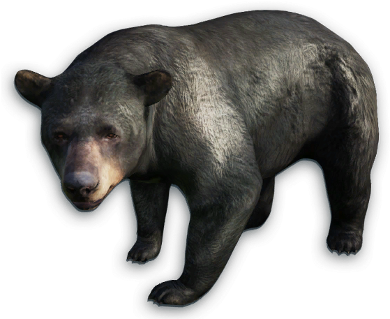 Far Cry 4 Animals Png (562x463), Png Download