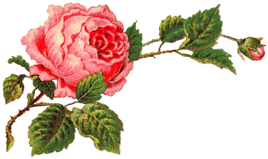 Red Roses Border Png Victorian Vintage Roses On A Branch - Rosa Png (400x400), Png Download