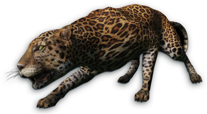 Far Cry 3 (704x389), Png Download