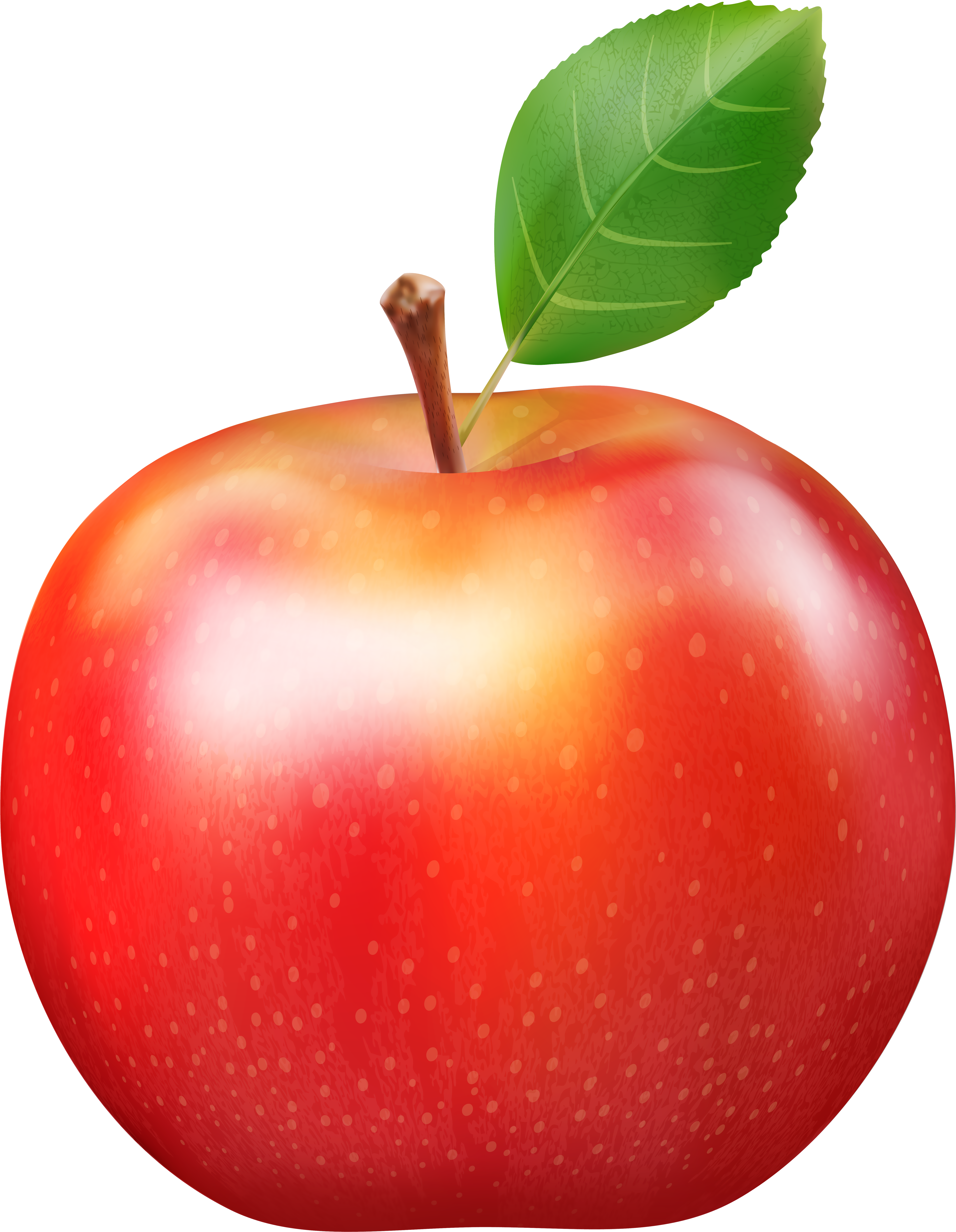 Apple Png Clipart (6223x8000), Png Download