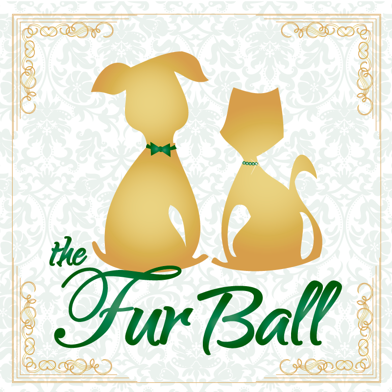 The Fur Ball Will Take Place On Friday, October 13th - Fur Ball Champaign (800x800), Png Download