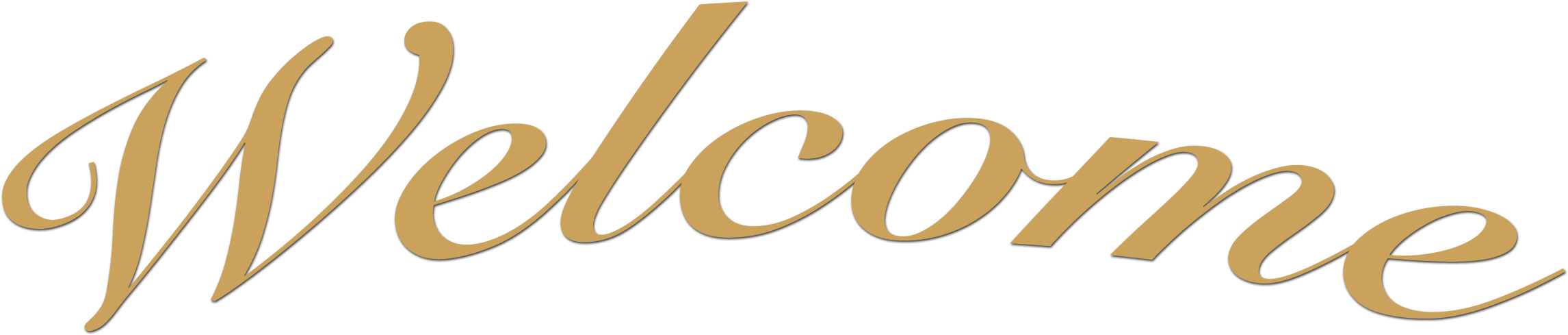 Welcome Header Arc Drop Shadow - William And Kate Mug (2354x521), Png Download