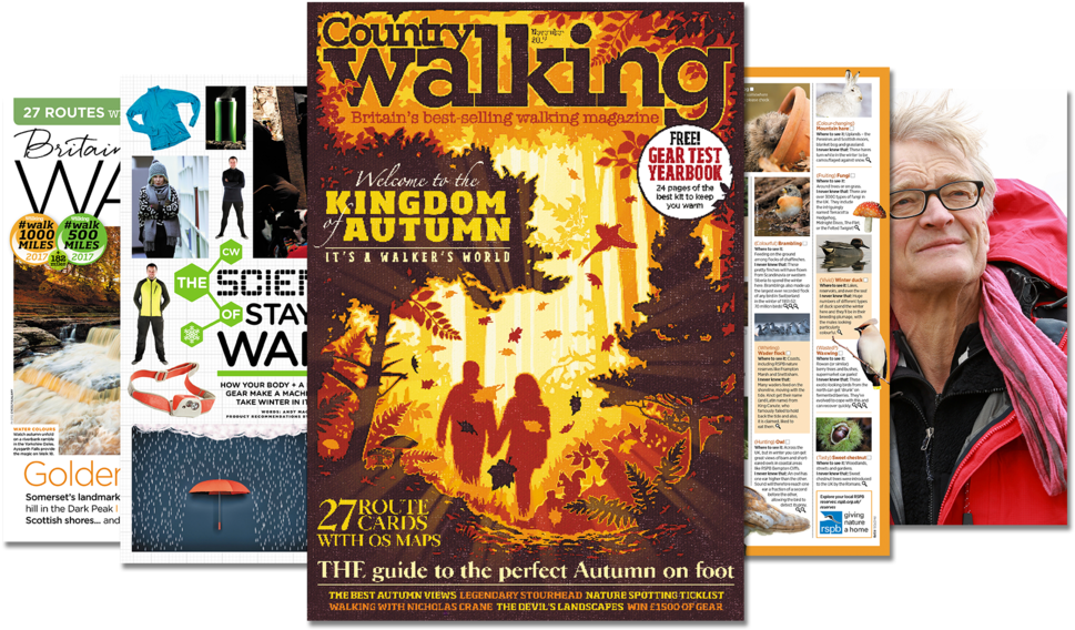 Nov Splay Nbd - Country Walking (1000x586), Png Download