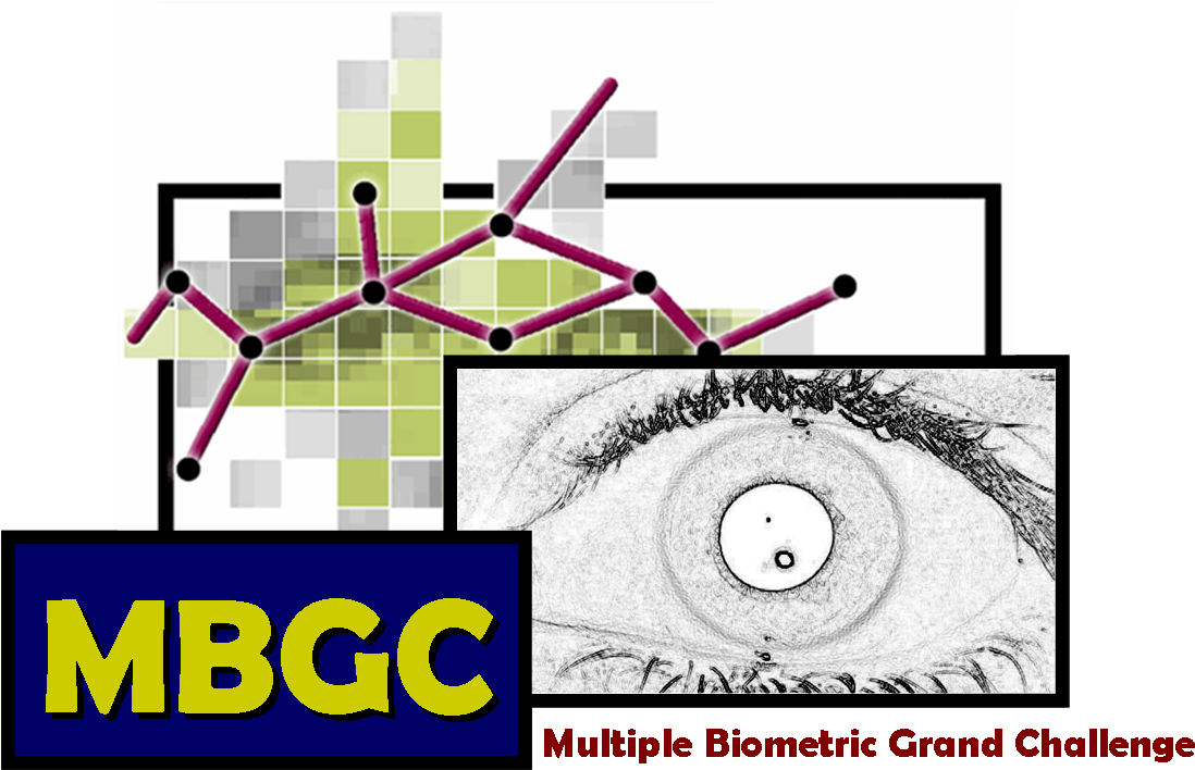 Face Recognition Grand Challenge (1132x711), Png Download