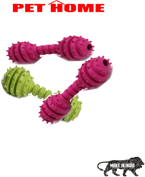Dumbel Shaped Latex Toys-pack Of - Leash (600x800), Png Download