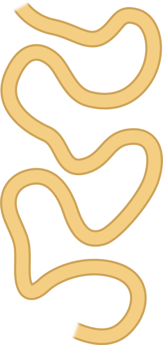 Clip Art (569x1200), Png Download