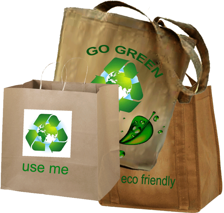Stay Green Use Eco Friendly Bags - Using Eco Bags (1000x951), Png Download
