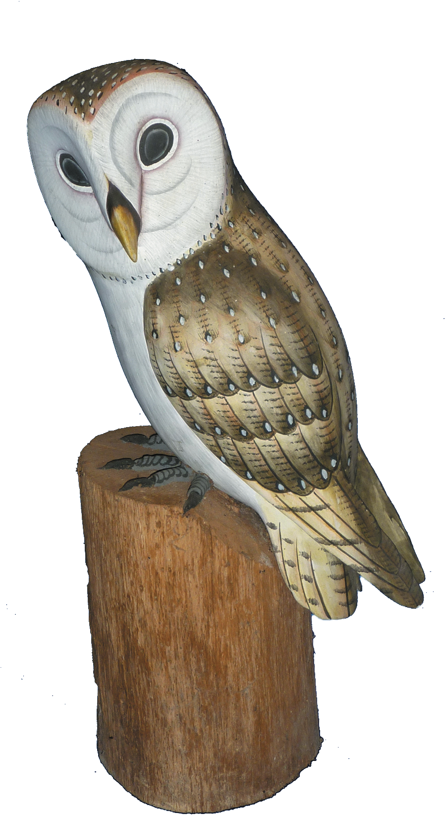 Log In To Your Account - Barn Owl (1417x1850), Png Download