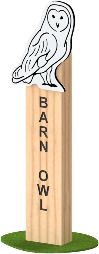 Barn Owl - Snowy Owl (522x868), Png Download